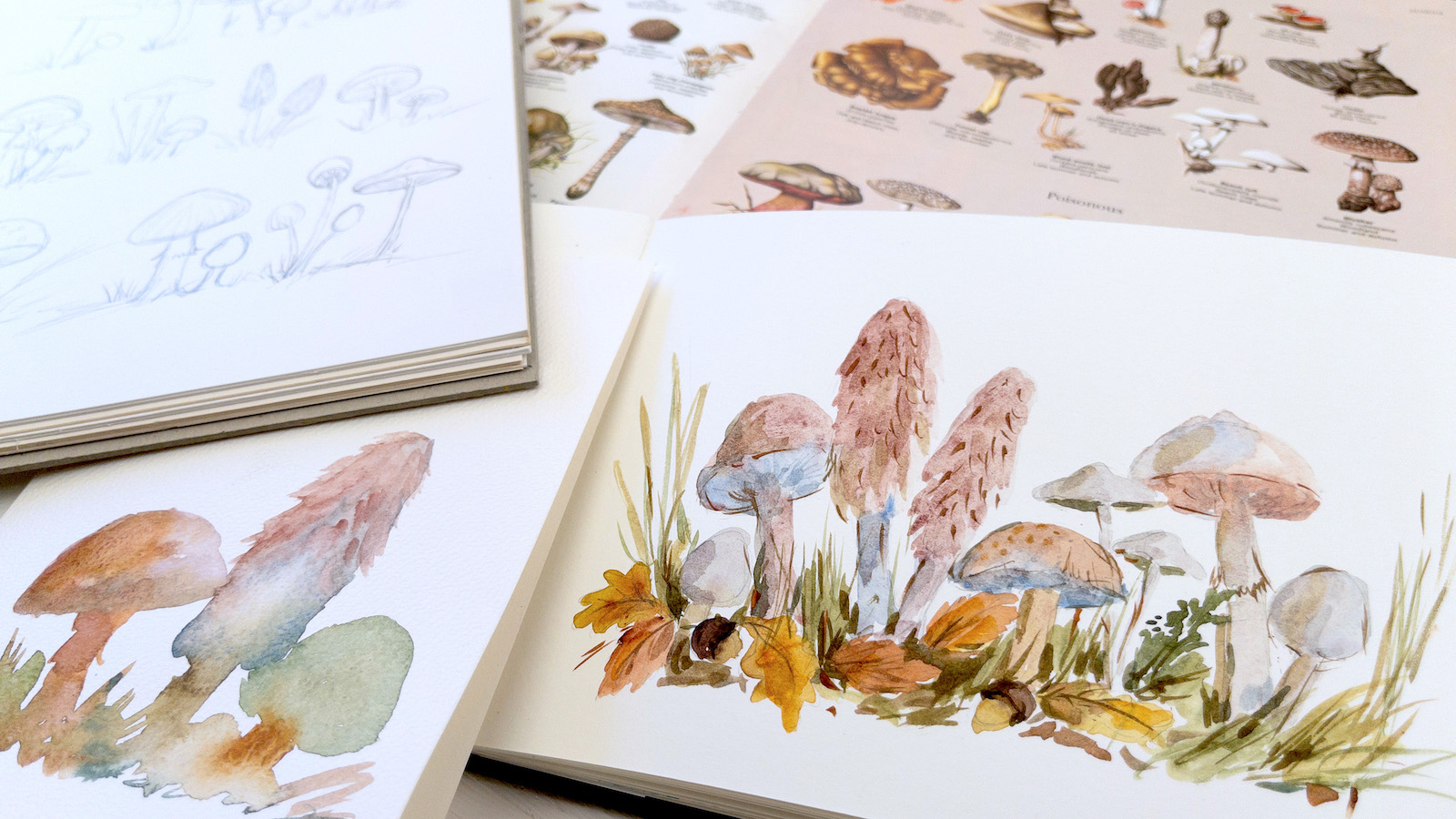 How To Paint Watercolor Mushrooms In A Woodland Setting Diane Antone   Watercolor Mushrooms Featured 