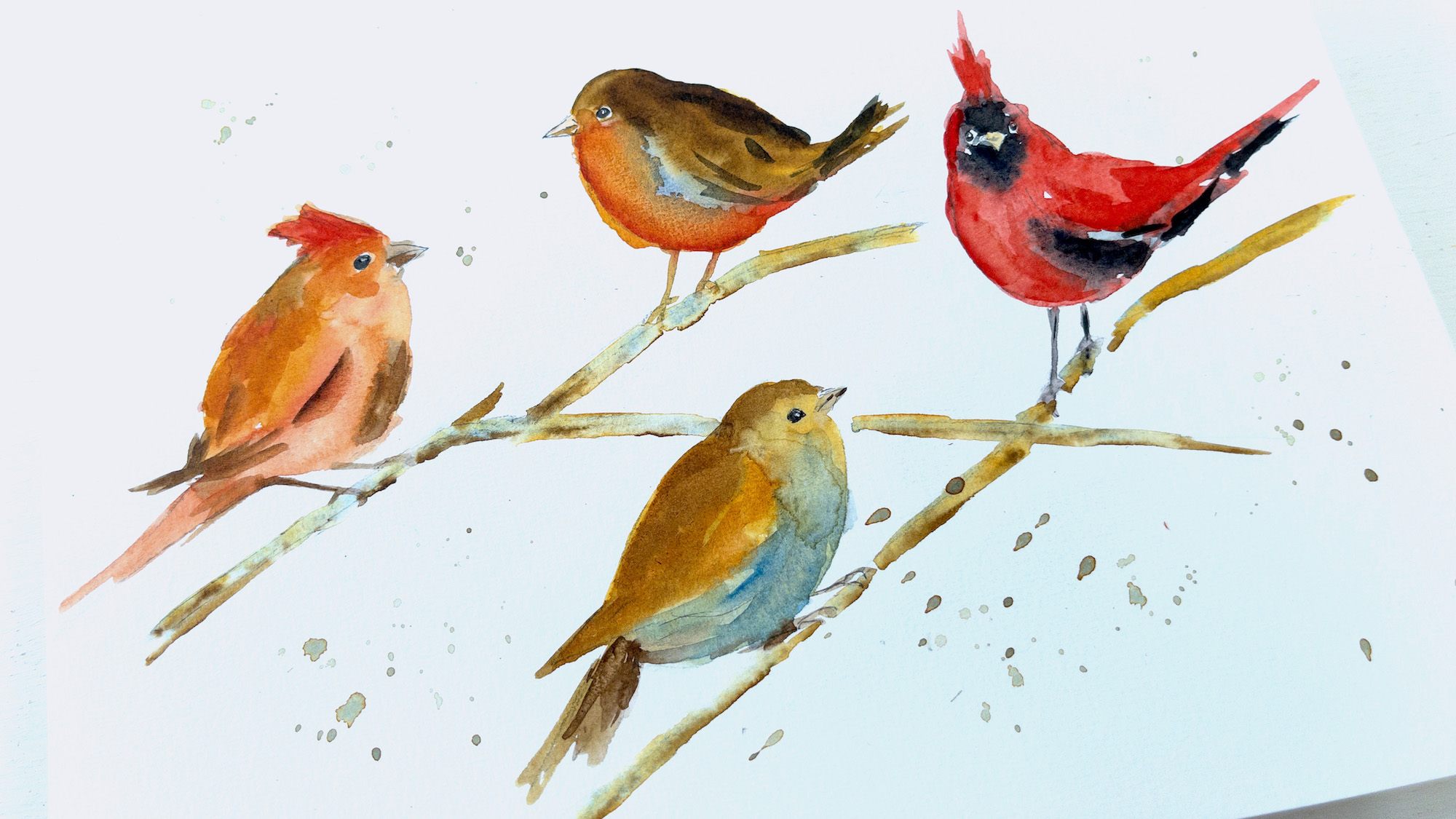 Red Cardinals and Red Breasts in Watercolor | Diane Antone Studio