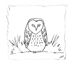 Baby Owl Sketch