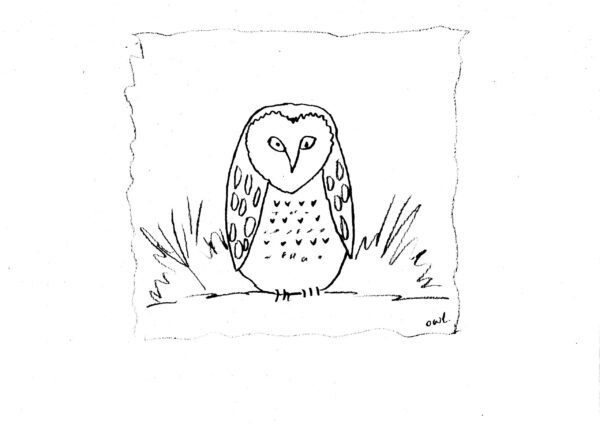 Baby Owl Sketch