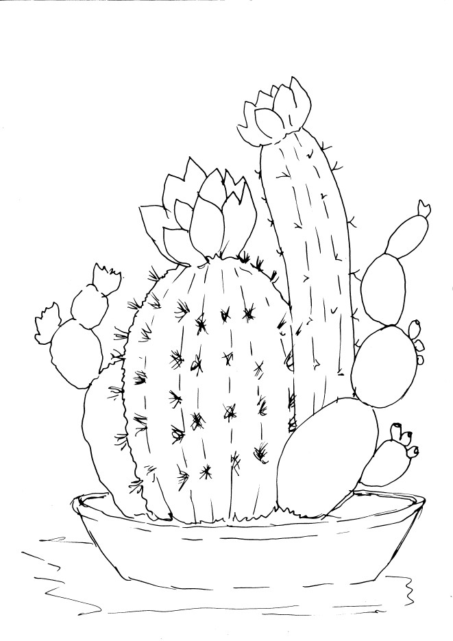 How to draw a Saguaro Cactus  Step by step Drawing tutorials  Cactus  drawing Cactus paintings Flower drawing