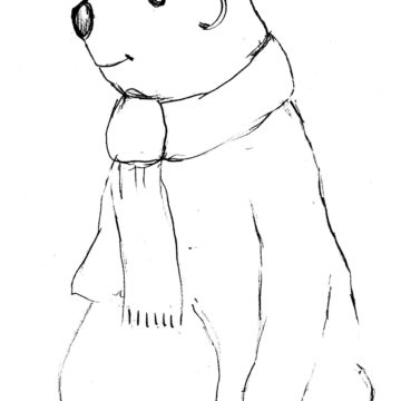 Cuddly Bear Sketch