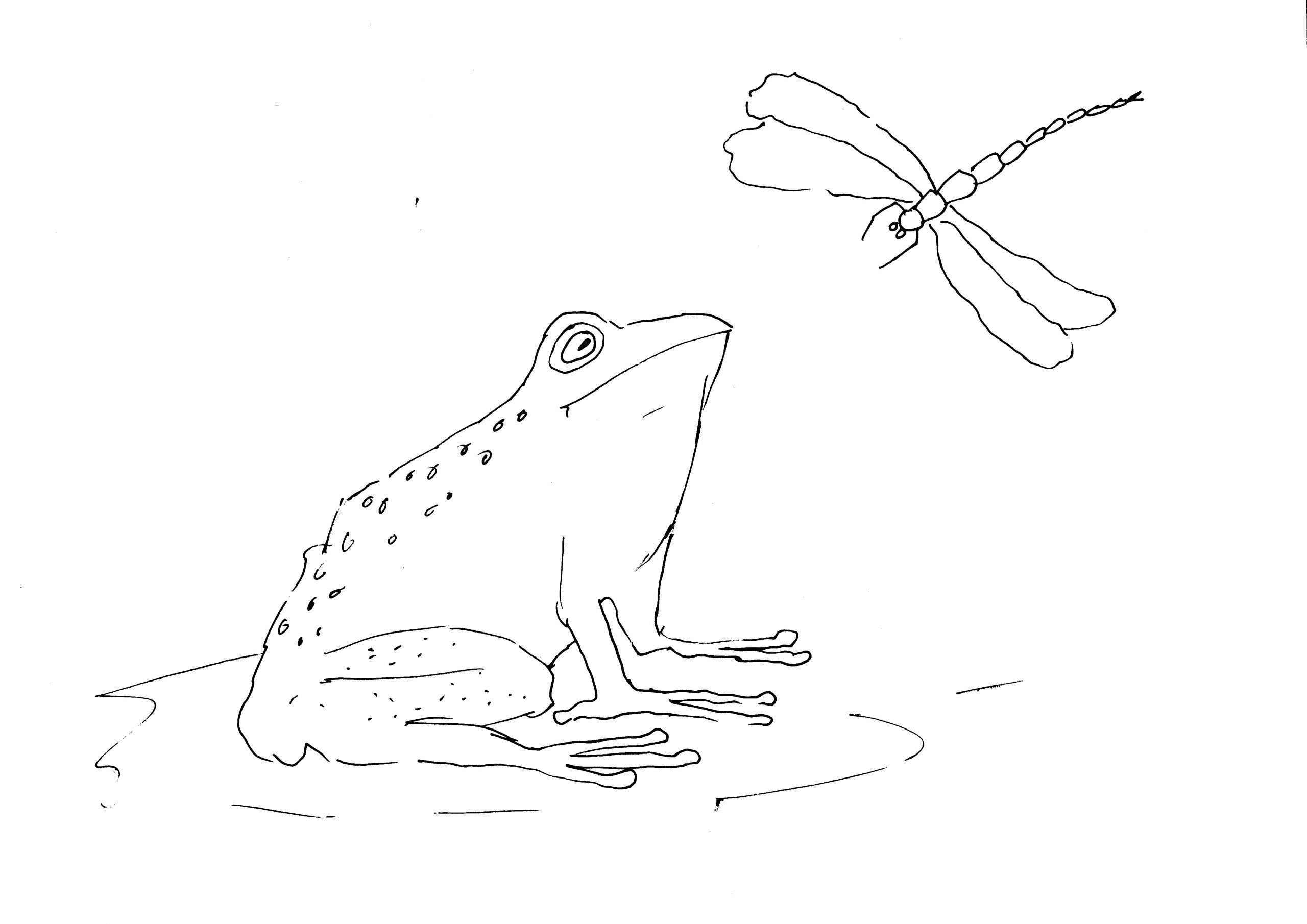 drawing of a frog on a lily pad