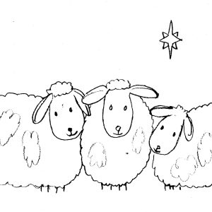 Sheep in Snow Sketch