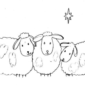 Sheep in Snow Sketch