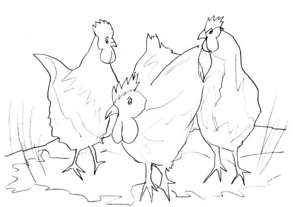 Three French Hens Sketch