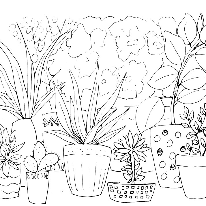 mustard plant sketch hand drawn vector - Stock Illustration [96522459] -  PIXTA