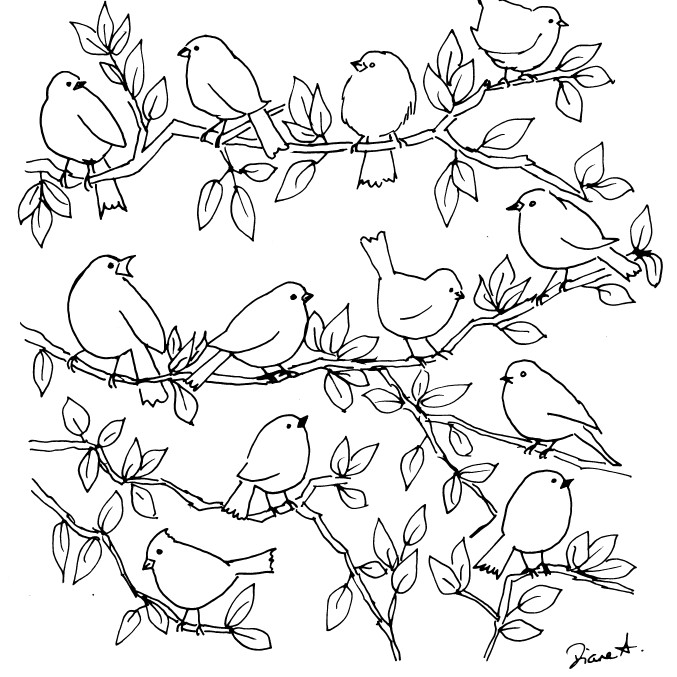 ＂Whimsical Birds Collection＂ Sketch Bundle