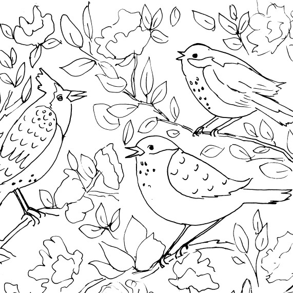 Four Birds and Flowers Sketch | Diane Antone Studio