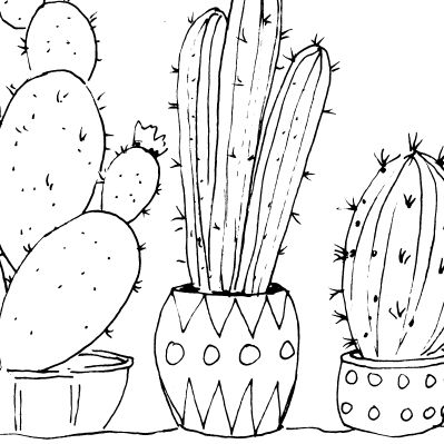 Cactus Sketch II