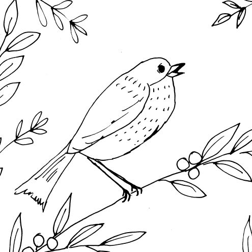 Whimsical Bird Sketch