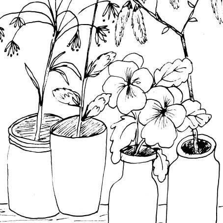 Bottles Twigs and Flowers Sketch