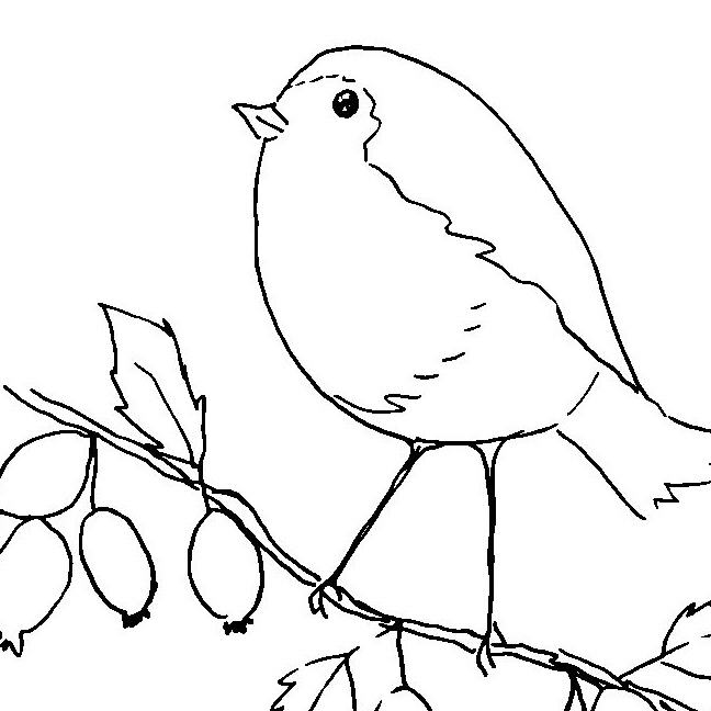 October Walk Challenge Sketches - Days 1 and 2
