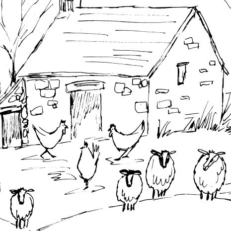 The Chicken Barn Sketch | Diane Antone Studio